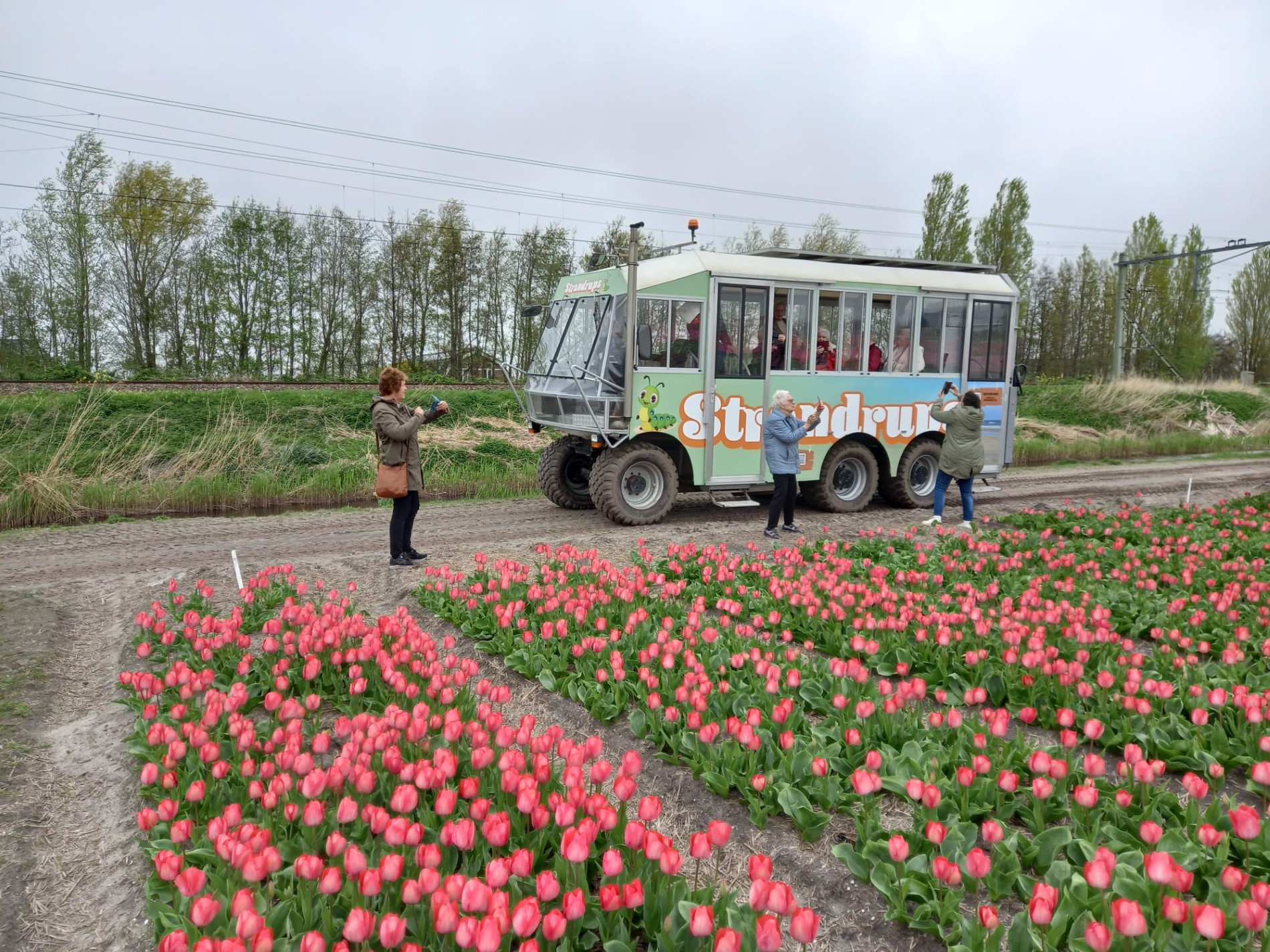 bollen-2024 (10).jpg